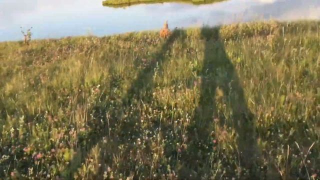 DZvlog. Рыбалка в Чувашии смотреть онлайн