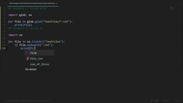 Find All File with .txt Extension Present Inside a Directory in Python | Python Examples | Tutorial смотреть онлайн