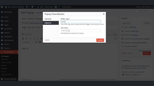 Popup Close Button Shortcode using Popup Maker смотреть онлайн