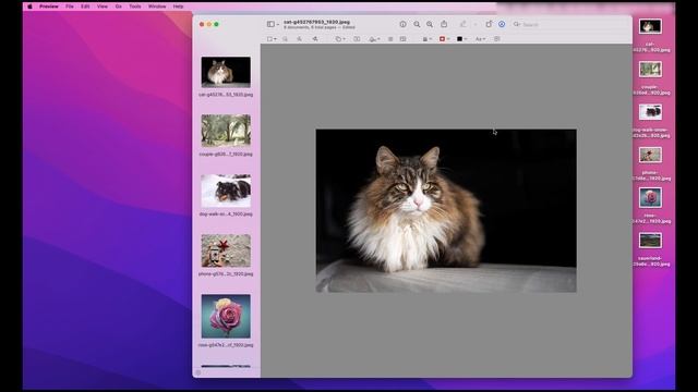 Resize several Images in Mac Preview - No Adobe Photoshop смотреть онлайн
