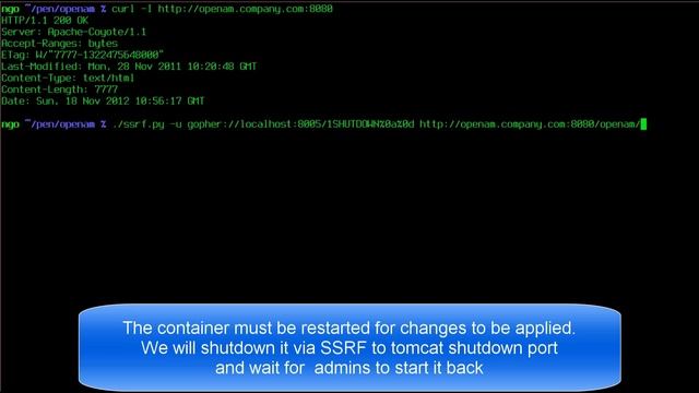 [OpenAM] Pwn via Debug logs, Monitoring and dumpHeap смотреть онлайн