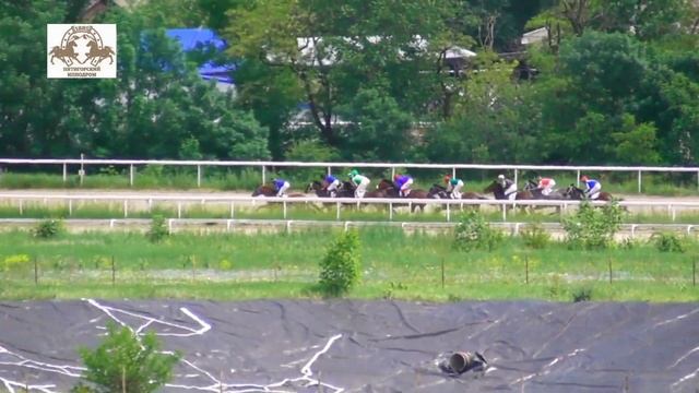 30.05.2021 - 9 Скачка на лошадях 3-х лет чистокровной верховой породы - Стиль смотреть онлайн