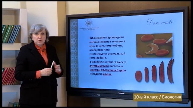 “Dərs vaxtı”: 10-cu sinif dərsləri ( rus bölməsi) (05.02.2021) смотреть онлайн