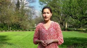 Газонные травы