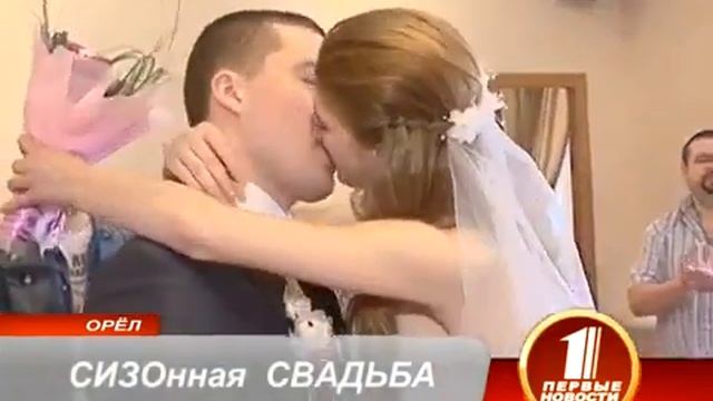 252 СИЗОнная СВАДЬБА смотреть онлайн