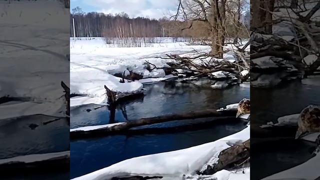 Река. Весна. Природа. смотреть онлайн