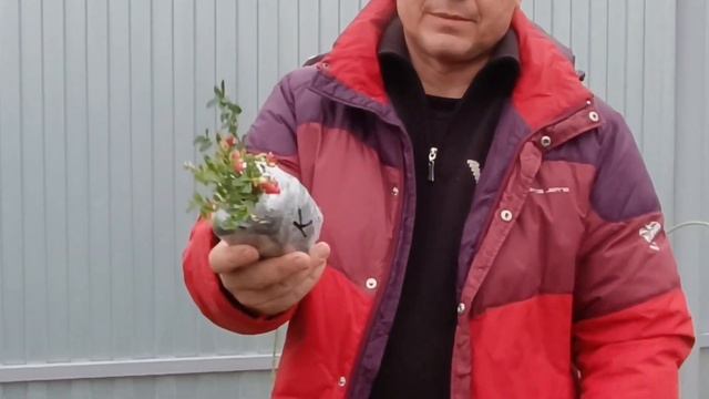 Продажа на АВИТО!!! смотреть онлайн
