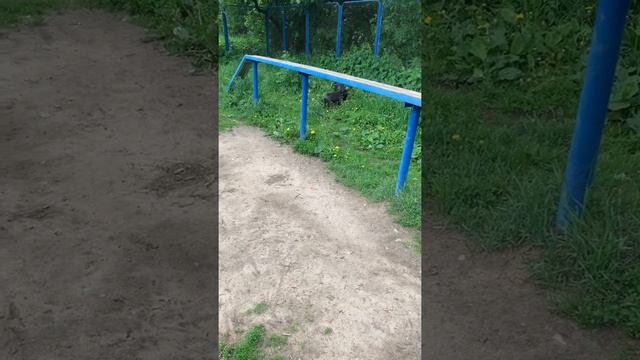 Прогулка двух друзей смотреть онлайн