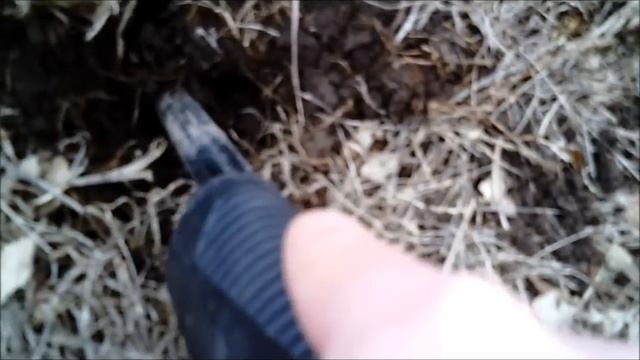 Metal Detecting 4-7-13 смотреть онлайн