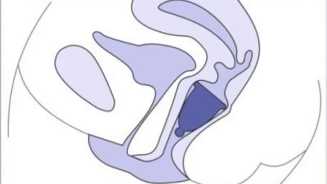 MENSTRUAL CUP смотреть онлайн