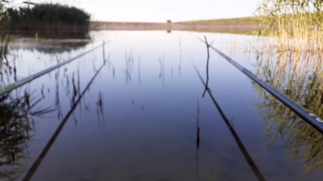 20.05.2022 РЫБАЛКА на МАХОВУЮ удочку! смотреть онлайн