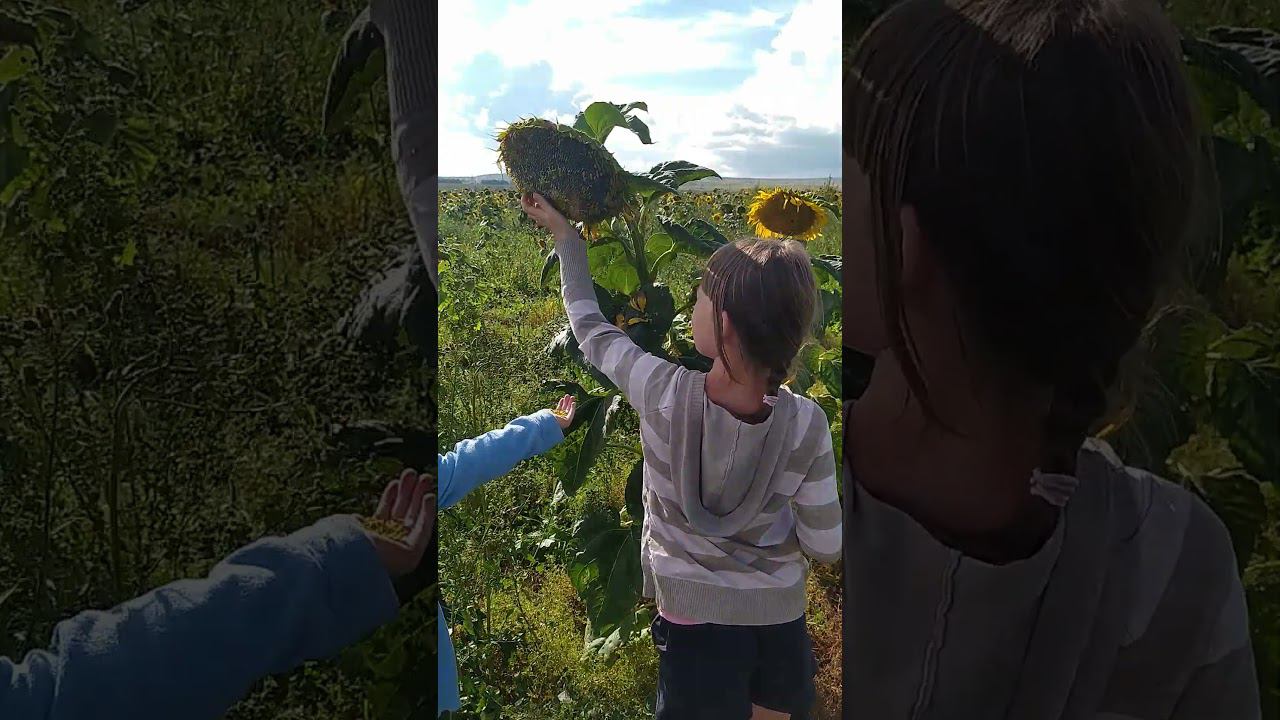 14 августа 2024 г. смотреть онлайн