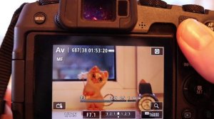 Canon EOS RP - общий обзор. Управление, меню, параметры и настройки.