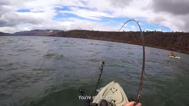 MASSIVE PREHISTORIC FISH CAUGHT FROM KAYAK | #FieldTrips West Coast | Field Trips with Robert Field смотреть онлайн
