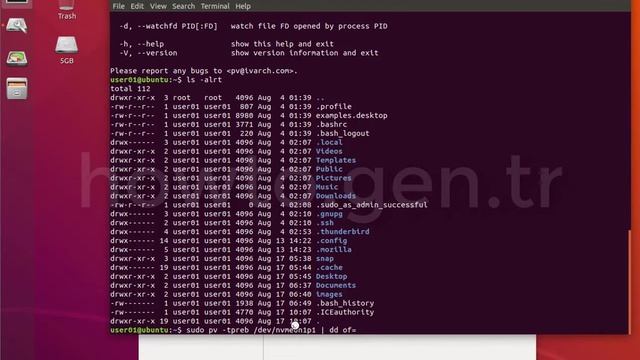 Linux PV Command Usage Progress Bar Monitor Status смотреть онлайн