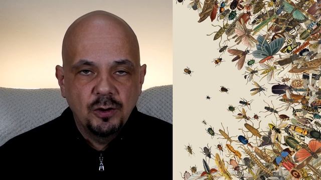 Что значит видеть насекомых во сне, к чему снятся насекомые? | Толкование снов смотреть онлайн