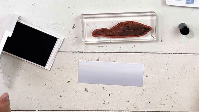 SNEAK PEEK! Scenic Wonder With Online Exclusives: Nature, Masculine Stampin Up смотреть онлайн