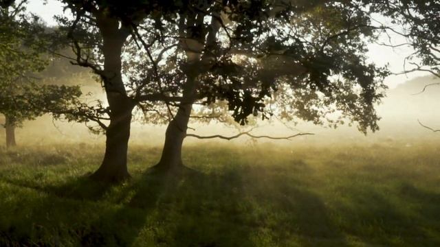 МУЗЫКА ДЛЯ СНА / МУЗЫКА ДЛЯ МЕДИТАЦИИ / ОТДЫХ / РЕЛАКС МУЗЫКА / RELAX MUSIC & GRAY #3 смотреть онлайн