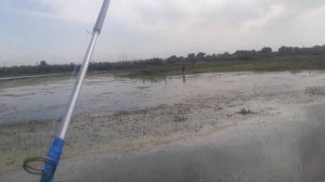 БЕКОБОД ТУМАНИДА СИРДАРЁДА БАЛИК ОВИ