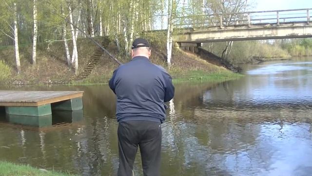 Ловля крупной плотвы на поплавочную снасть в проводку весной.Река Салаца.Открытие сезона 2018 смотреть онлайн