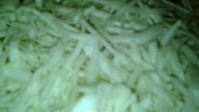 капуста квашеная смотреть онлайн