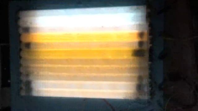 Fluorescent Light Organ смотреть онлайн