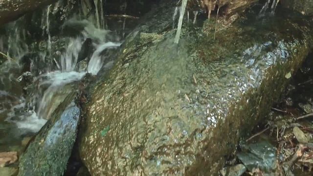Прогулка по окрестностям села Акташ горного Алтая смотреть онлайн