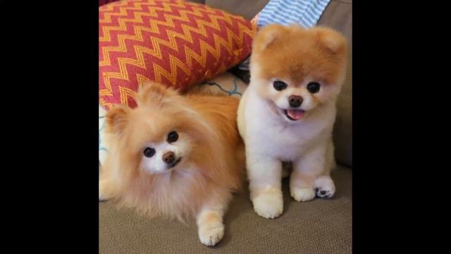 СМОТРИ прелести природы и ставьте лайки смотреть онлайн