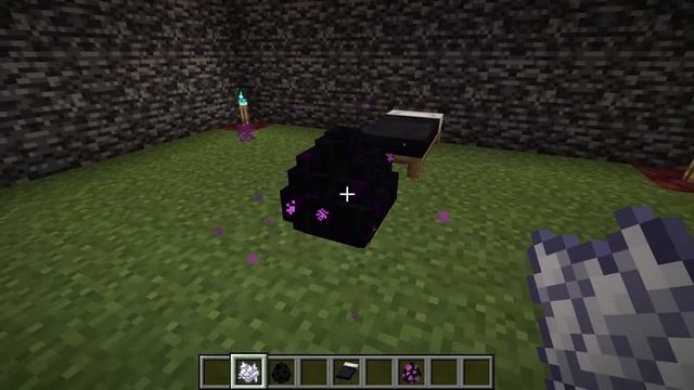 Enderman ❤️ Ender Dragon