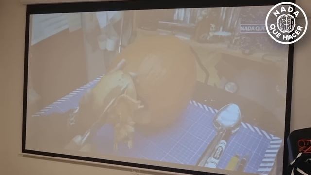 Cambié el proyector de mi habitación y el camarógrafo es muy feliz, es una ganga de GOOJODOQ! |NQUE смотреть онлайн