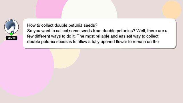 How to collect double petunia seeds? смотреть онлайн