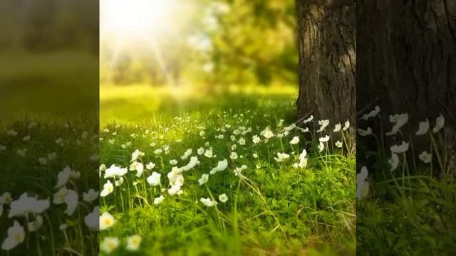 Ищите Бога,пока не поздно. Задумайтесь. Бог - выход .Ты не безразличен для Господа смотреть онлайн