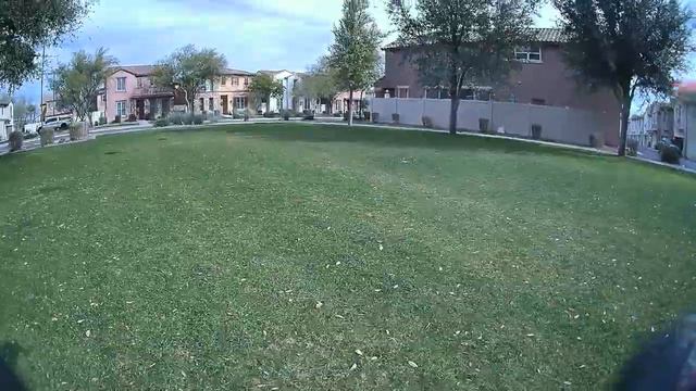 Flying Acacia Grove смотреть онлайн