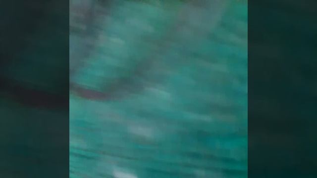 Nvidia Quadro FX 1800 FX1800 768 MB GDDR3 192 Bit R******a смотреть онлайн