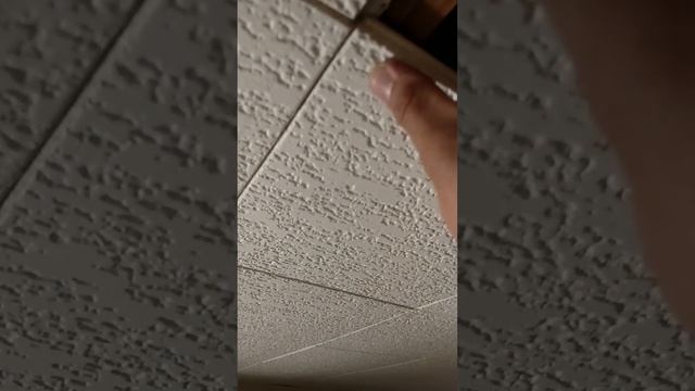 Ceiling Tile Replacement