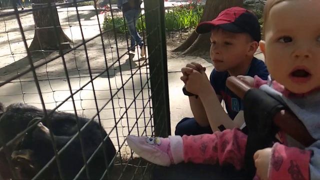 Впечатления о парке Фельдмана смотреть онлайн