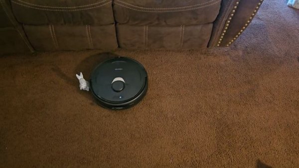Roborock Q Revo - Firmware Update 2.13.30 - Carpet Avoidance Test
