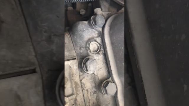 Номер двигателя на исузу смотреть онлайн