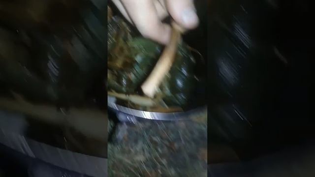 ВМНЖ #5: раки против собаки смотреть онлайн