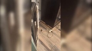 Посудомоечная машина Hotpoint Ariston ошибка мигает 4й светодиод (из 4х)