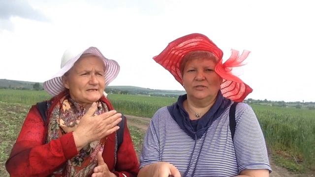 Как получить вид на жительство в Молдове? смотреть онлайн