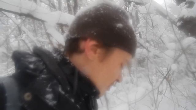 Одиночный зимний поход в лес 2019 смотреть онлайн