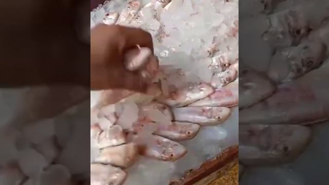 روتين يومي في السوق بدل حيرت كل يوم الغدا إيه смотреть онлайн