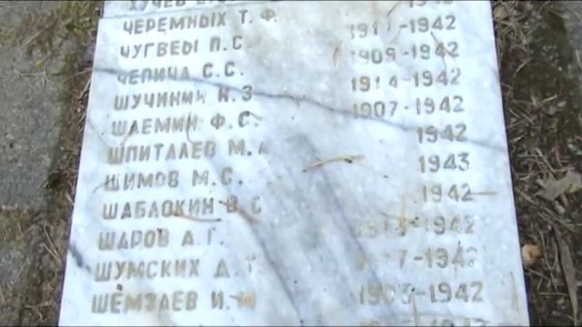 Братская могила №45 Осташковский район Тверская область смотреть онлайн