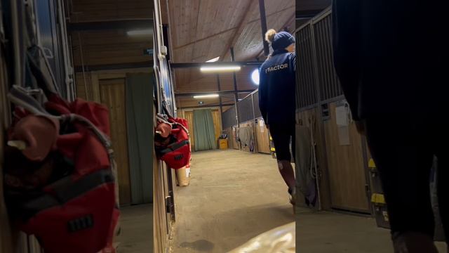 1 день из жизни коневладельца!  🤗 #конныйклуб #лошади #конюшня #лошадь #прокатлошадей