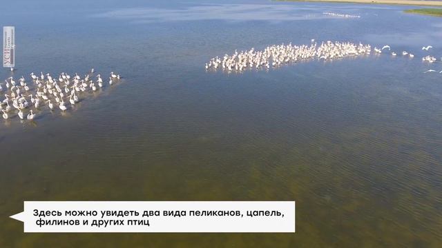 Тузловская Амазония: красота Нацпарка "Тузловские лиманы" смотреть онлайн
