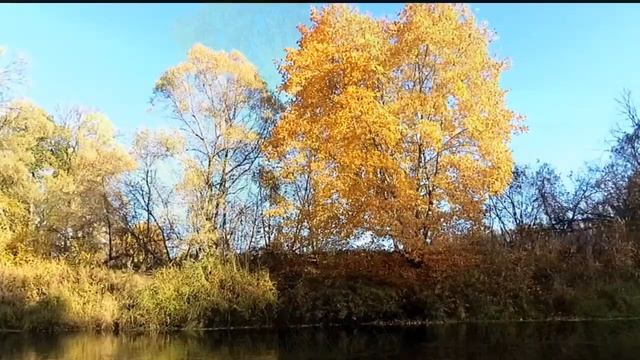Осень красивое видео. смотреть онлайн