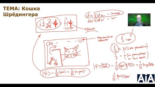 Кто такая кошка Шрёдингера? Душкин объяснит смотреть онлайн
