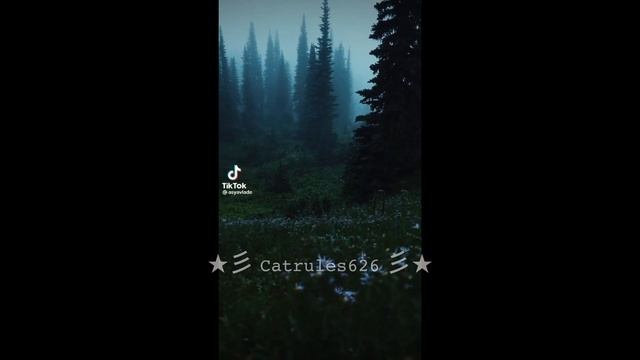 sans aus react to nightmare sans // 3/4 // gacha // angst // animation смотреть онлайн