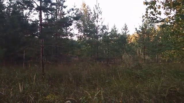 4 сентября Бывало, я с утра молчу Анна Ахматова смотреть онлайн